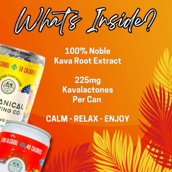 Paquete de 4 latas kava seltzer durazno y naranja