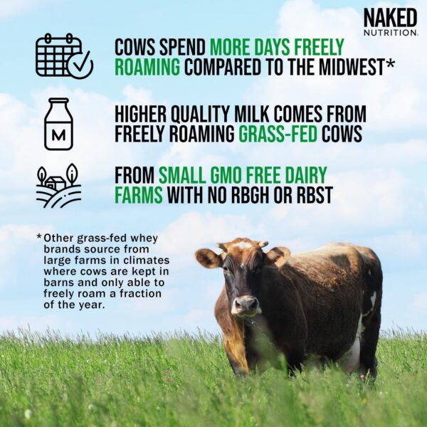 Paquete de 5 libras Naked Vanilla Whey proteína en polvo natural