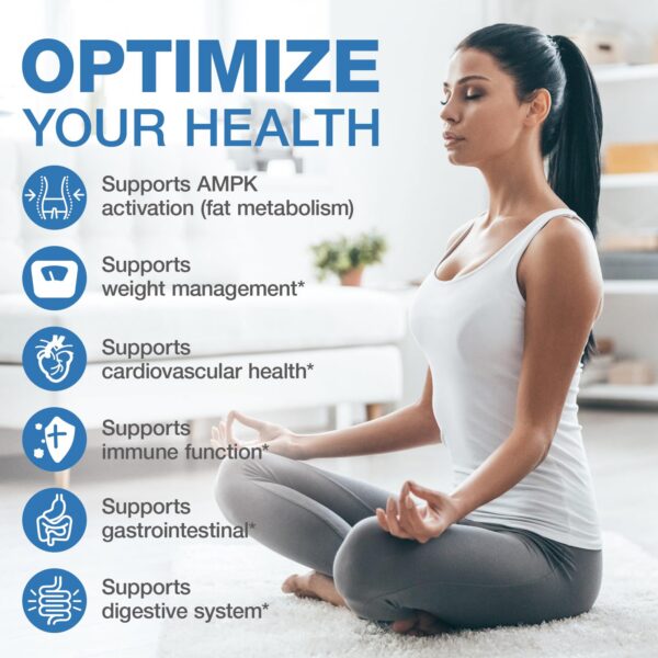 Paquete seis suplementos berberina WACHRAY 1500mg