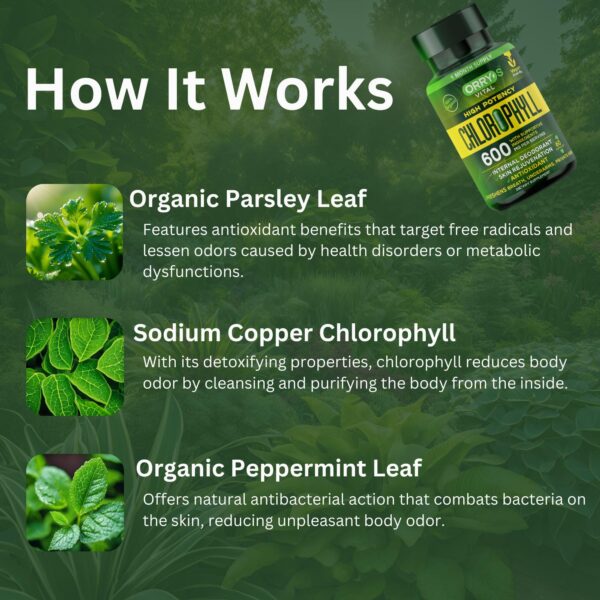 Paquete de 60 cápsulas Orry's Vital clorofila natural