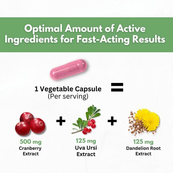 Paquete de 60 pastillas de extracto puro de arándano