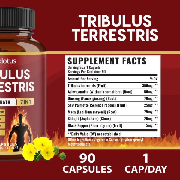Paquete de 90 cápsulas de Tribulus Terrestris y hierbas