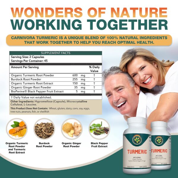 Paquete de 90 cápsulas veganas Turmeric Carnivora para salud digestiva