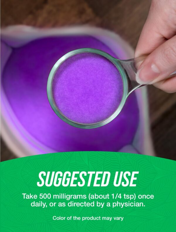 Polvo extracto arándano BulkSupplements envase superior