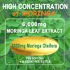 Paquete cápsulas moldas Moringa JINGYAT alta potencia 6000mg