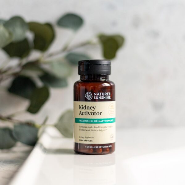 Paquete cápsulas Kidney Activator Nature's Sunshine