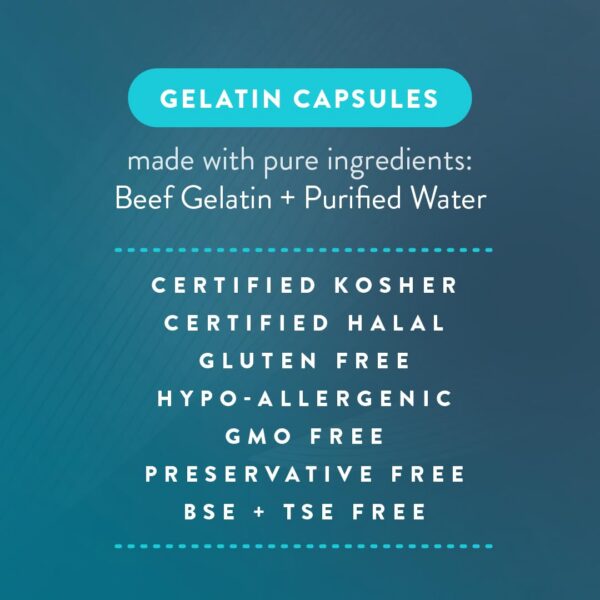 Paquete cápsulas vacías PureCaps USA 2000 unidades tamaño 3