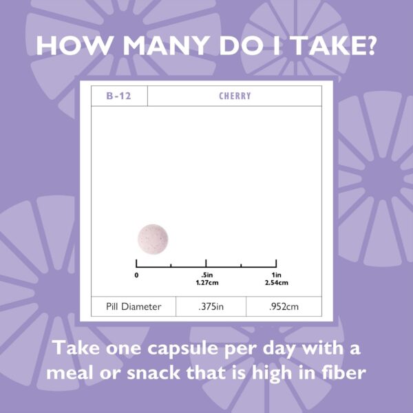 Paquete Celebrate Vitamins vitamina B12 quick melt 90 tabletas