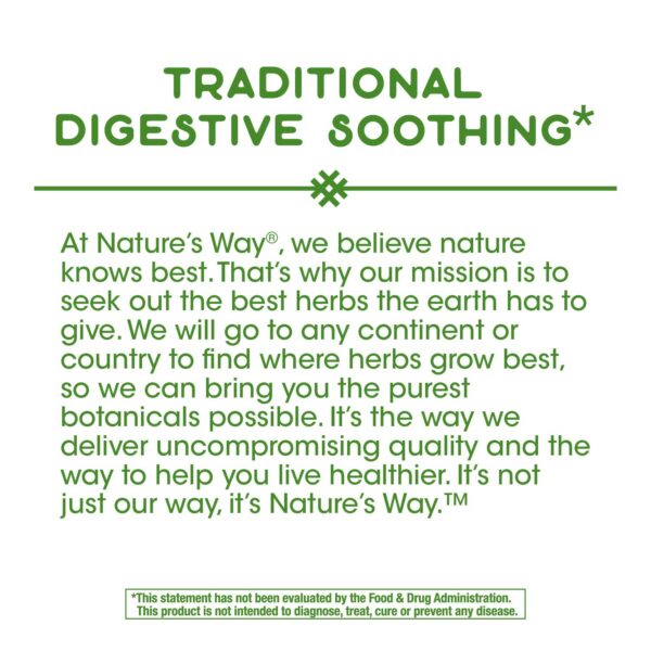 Paquete doble de cápsulas menta para digestión Nature's Way