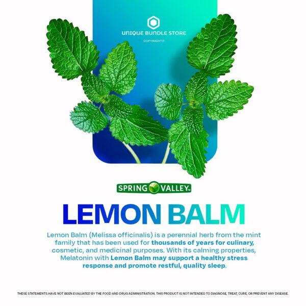 Version 1.0.0 Paquete doble tabletas melatonina Spring Valley 240 unidades