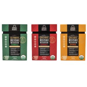 Paquete de polvo y extracto de hongo Reishi Mehdi Reishi