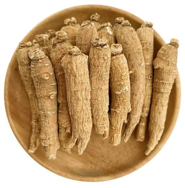 Bestliving ginseng americano raíz en caja amarilla 8 onzas