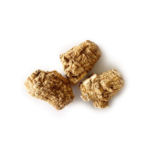 Paquete Ginseng Americano Dairyland raíz perla