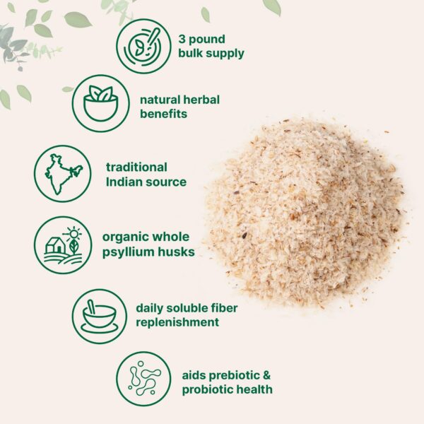 Version 1.0.0 Paquete grande psyllium fibra soluble Micro Ingredients orgánico