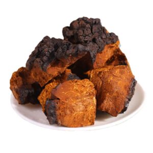 Paquete de hongo Chaga Siberia Pure Natural Premium 500 gramos