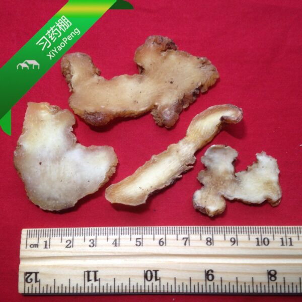 Version 1.0.0 Paquete de Huangjing Rizoma Polygonati 100 gramos XYP