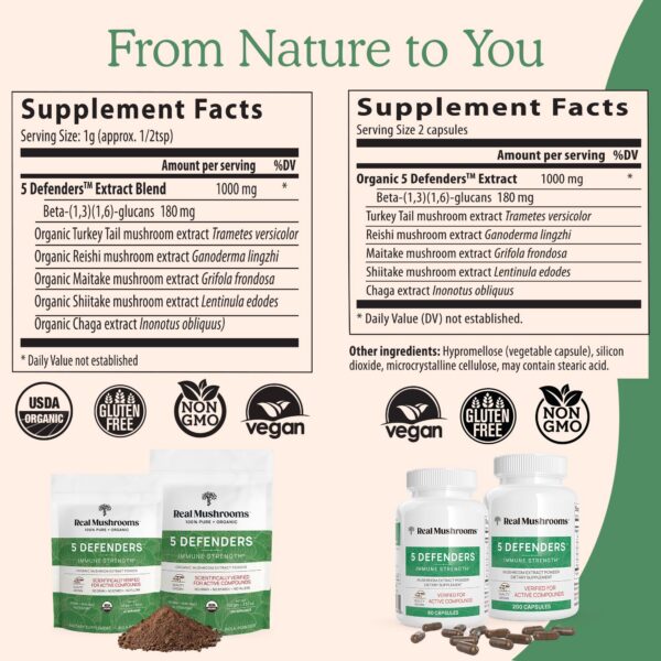 Polvo natural de hongos chaga, reishi, maitake para bienestar