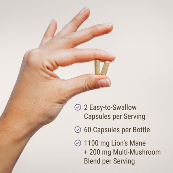 Paquete Live Conscious melena de león apoyo memoria y enfoque