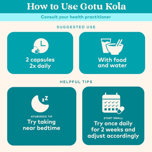 Paquete Organic India Gotu Kola 90 cápsulas orgánico