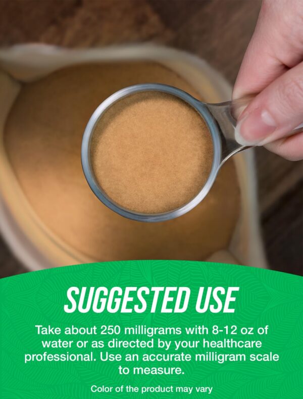 Paquete polvo extracto semilla de toronja 500 gramos BulkSupplements