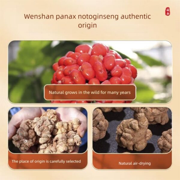 Paquete de polvo de ginseng Tienchi DIAN MAI HAO 100g