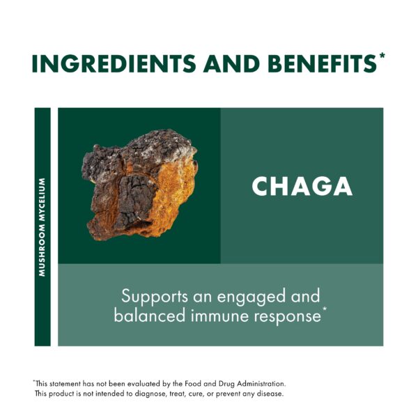 Extracto de hongo chaga para soporte inmunológico Host Defense