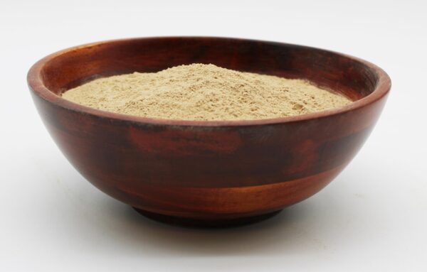 Paquete de polvo de hongo melena de león Naturejam