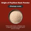 Paquete 500 g polvo psyllium fibra BoxNutra para adultos