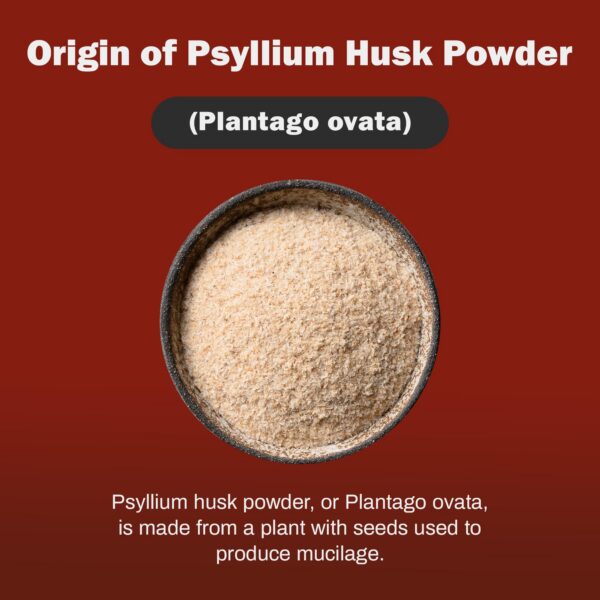 Paquete 500 g polvo psyllium fibra BoxNutra para adultos