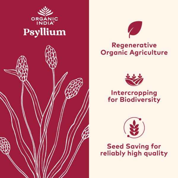 Paquete de polvo de fibra de psyllium husk Organic India