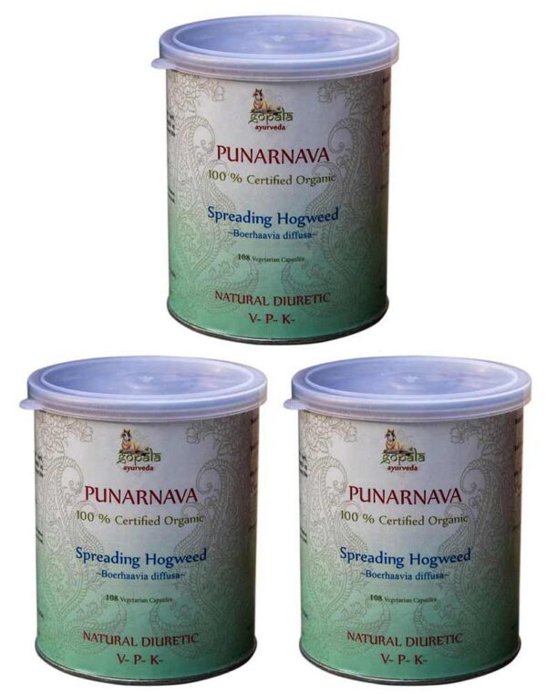 Paquete múltiple PUNARNAVA 3 pack cápsulas vegetales orgánicas con muestras gratis