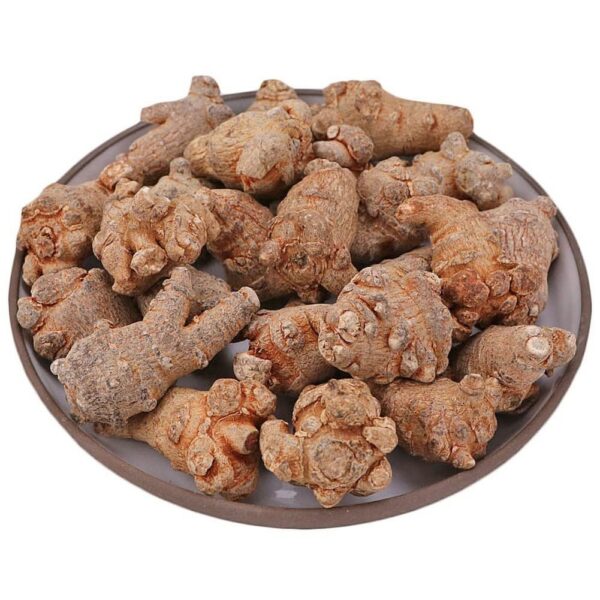 Version 1.0.0 Paquete de raíz pura natural de notoginseng premium para suplementos