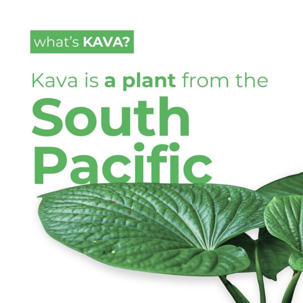 Paquete seis latas bebida relajante kava LEILO sin alcohol