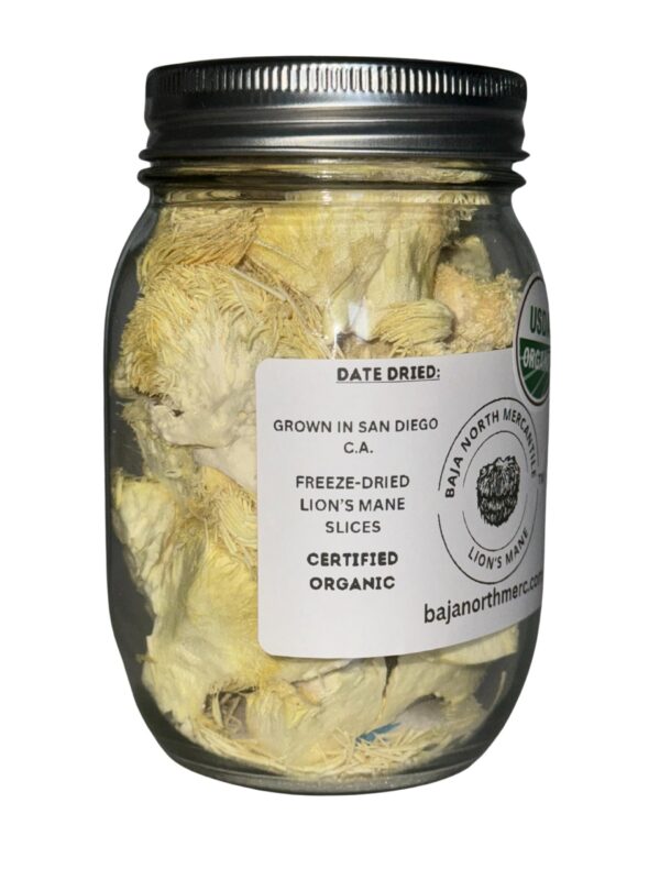 Paquete vacío con hongo Melena de León liofilizado orgánico