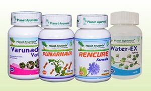 Version 1.0.0 Paquete Water-Ex Care Planet Ayurveda remedio ayurvédico edema natural