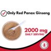 Polvo rojo Ginseng Panax natural para smoothies y bebidas