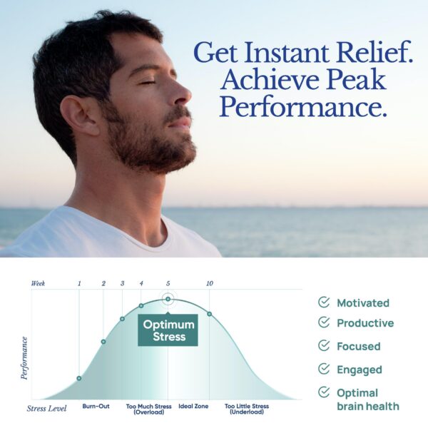 Version 1.0.0 Paquetes de suplemento anti-estrés TAHIRO