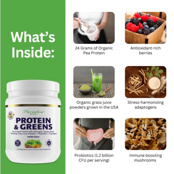 Version 1.0.0 Etiqueta frontal de ORAC Energy Proteins & Greens