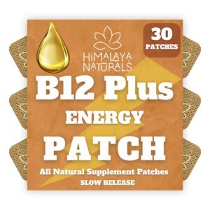 Version 1.0.0 Parches de energía B12 Plus Himalaya Naturals empaque frontal