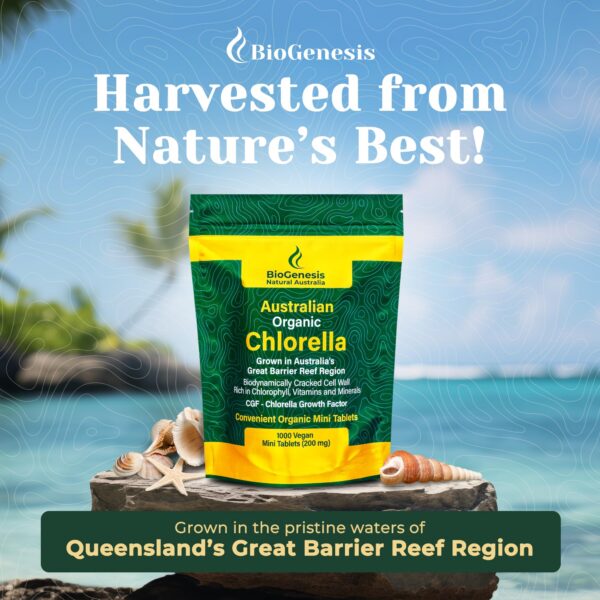 Version 1.0.0 Pared celular rota de chlorella para mejor absorción