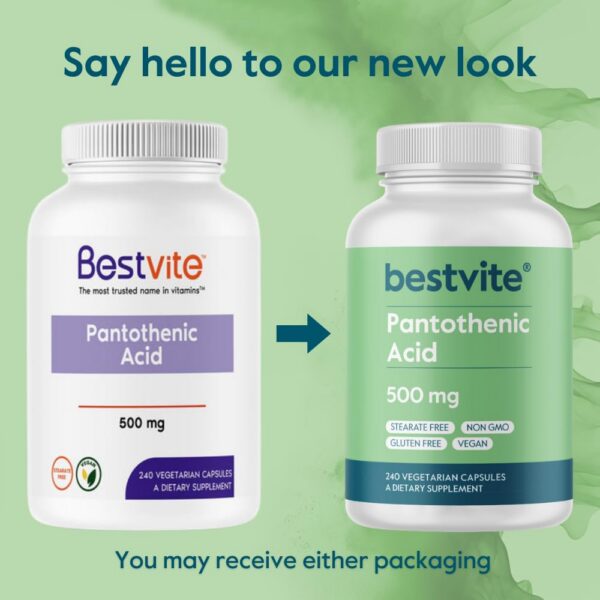 Parte trasera botella BESTVITE 240 cápsulas ácido pantoténico