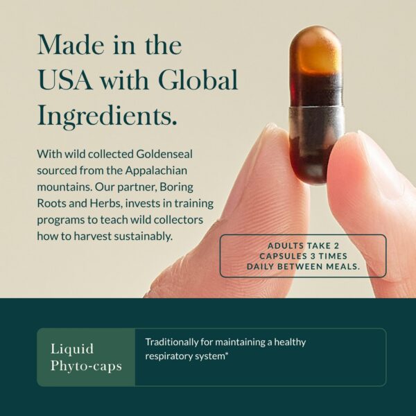 Parte posterior del frasco Gaia Herbs Echinacea Goldenseal