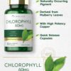 Version 1.0.0 Pastillas de clorofila liberación rápida para bienestar