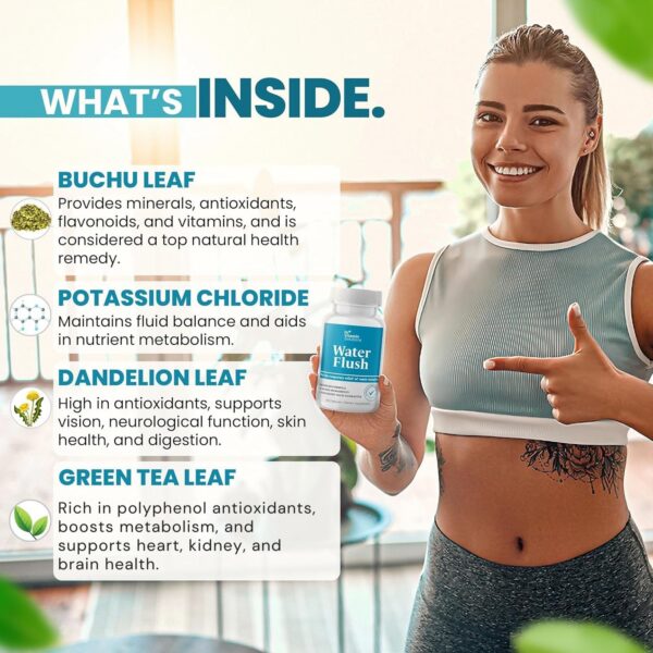 Version 1.0.0 Pastillas para eliminar toxinas y apoyar la desinflamación corporal