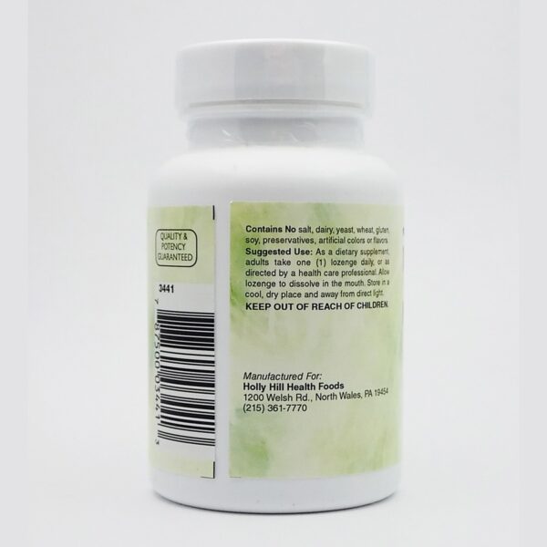 Version 1.0.0 Pastillas sabor cereza Metil B12 sublinguales Holly Hill