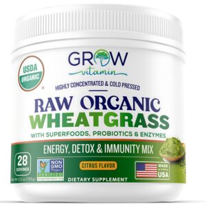 Version 1.0.0 pasto trigo orgánico en polvo con clorofila y minerales natural