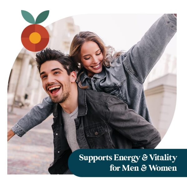 Version 1.0.0 Etiqueta Pattern Wellness Maca