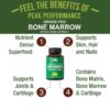 Version 1.0.0 Etiqueta de Peak Performance Bone Marrow Extract