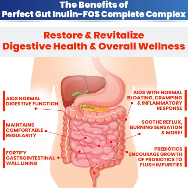 Perfect Gut suplemento prebiótico fibra soluble para intestinos