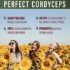 Perfect Supplements cápsulas adaptogénicas Perfect Cordyceps